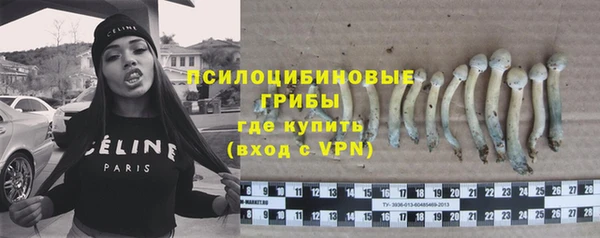 ПСИЛОЦИБИНОВЫЕ ГРИБЫ Аркадак
